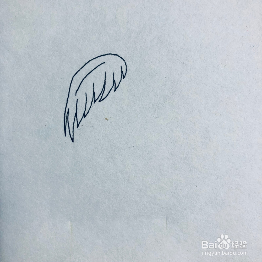 怎么绘画一棵简单的椰子树