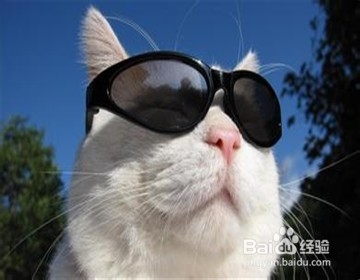 遇见混混怎么办？