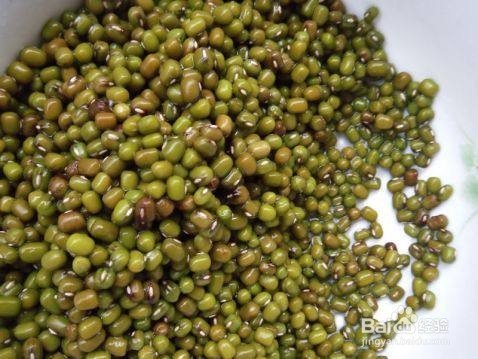 鸽子绿豆汤的做法与功效