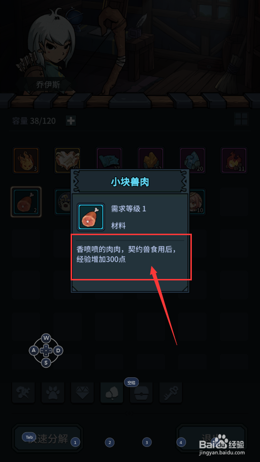 提灯与地下城怎么查询小块兽肉的详情