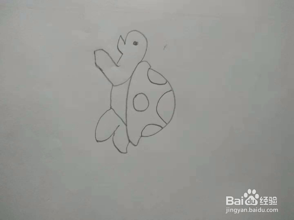 小乌龟简笔画画法