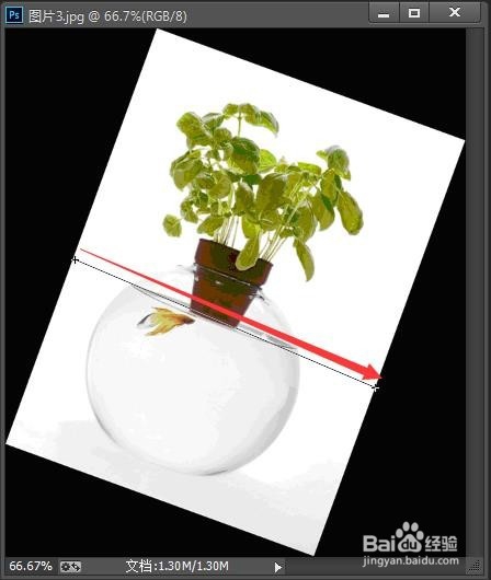 摆正图片有妙招