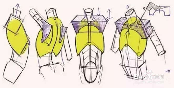 【推荐】人体结构基础绘画方法