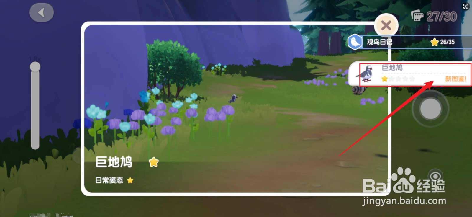 心动小镇巨地鸠拍摄方法