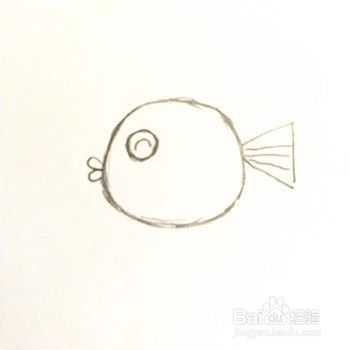 怎么画一条彩色鱼的简笔画？