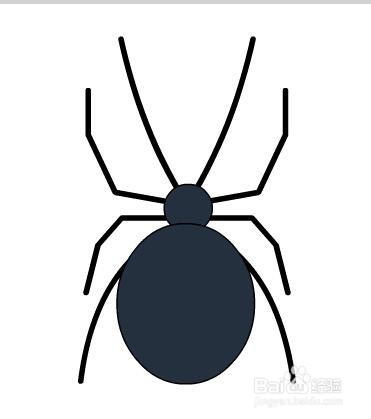 flash如何绘制卡通蜘蛛的教程