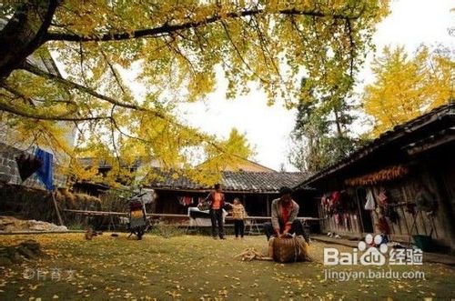 节后错峰去旅游国内八大热门出游地推荐