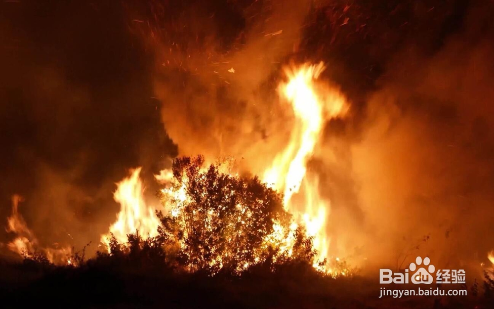 野外如何防止森林火灾，如何自救