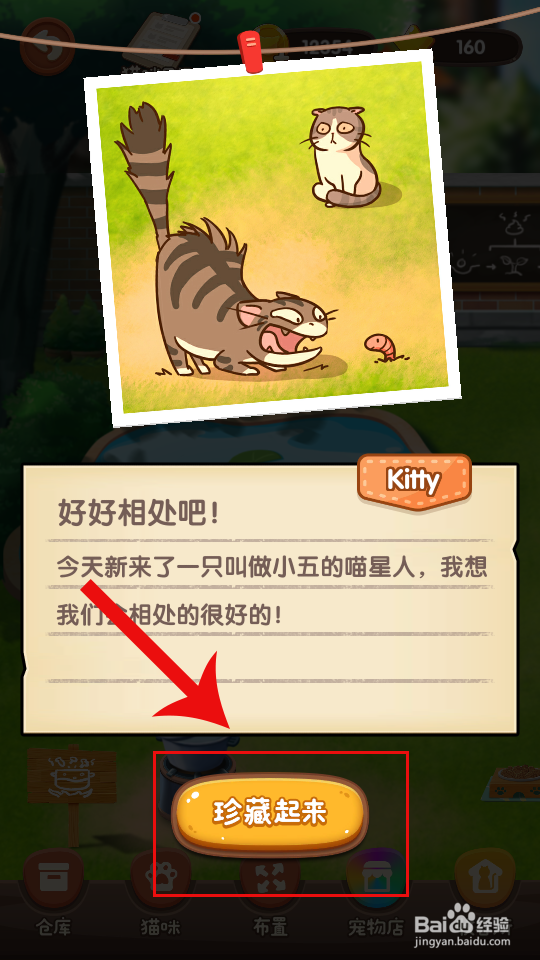 猫语咖啡怎么领养猫