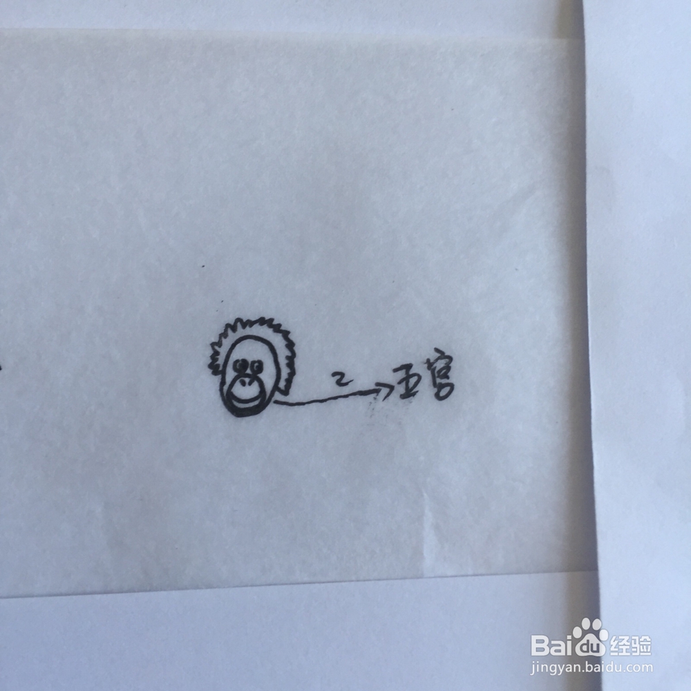 如何画简笔大猩猩