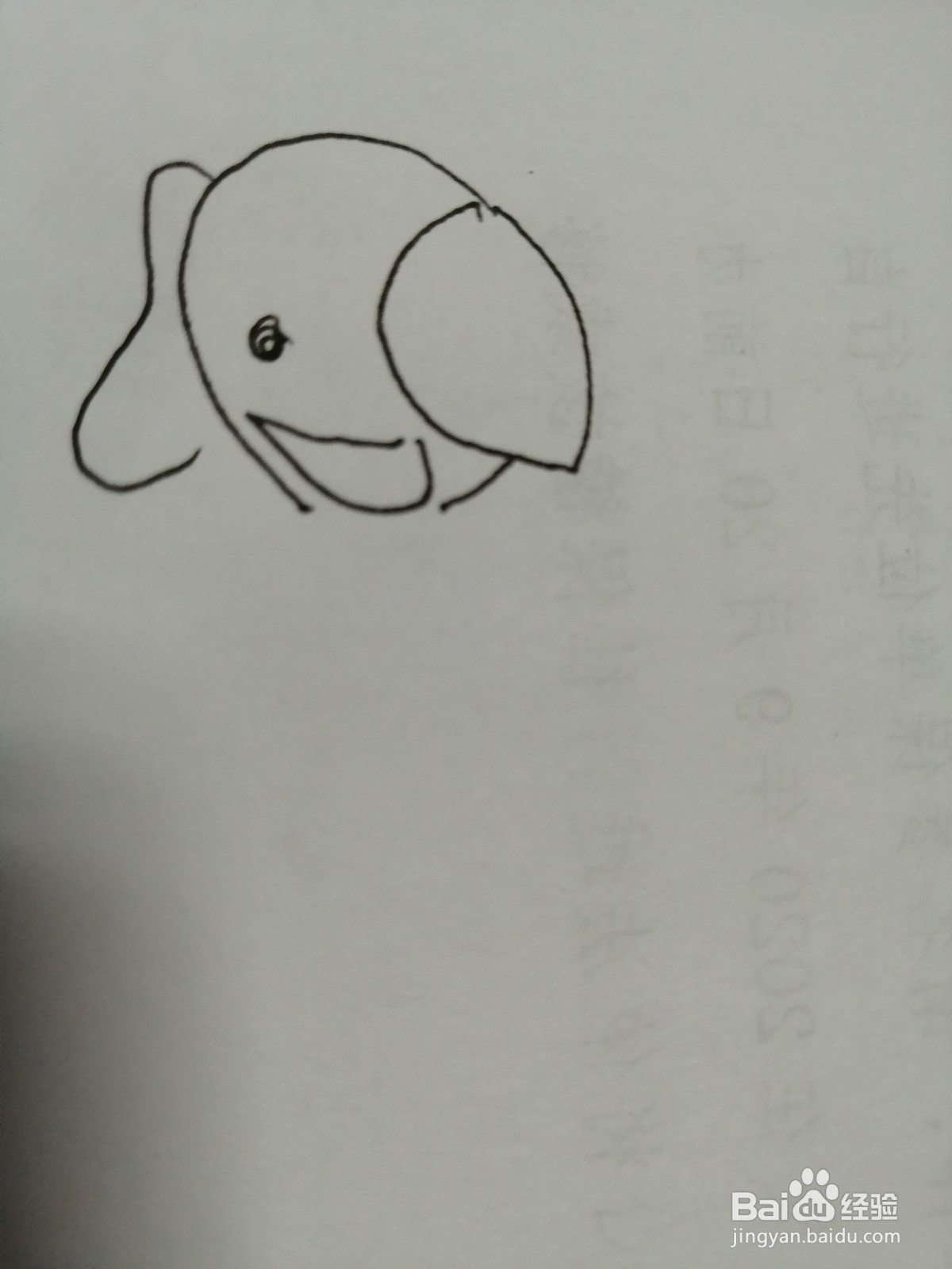 简笔画大象怎么画