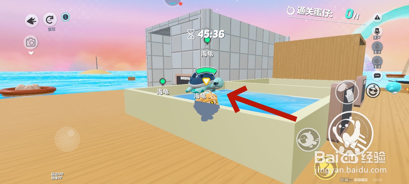 蛋仔派对游戏中抱起海龟的教程