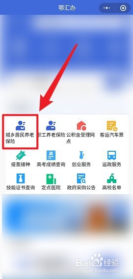 湖北医保缴费怎么网上缴费