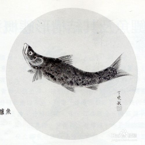 食色生香 清蒸桂花鲈 百度经验