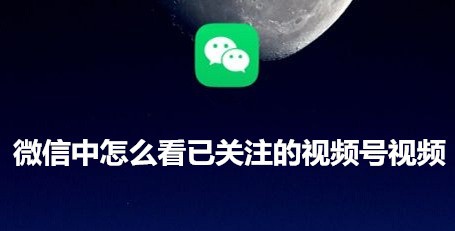 <b>微信中怎么看已关注的视频号视频</b>