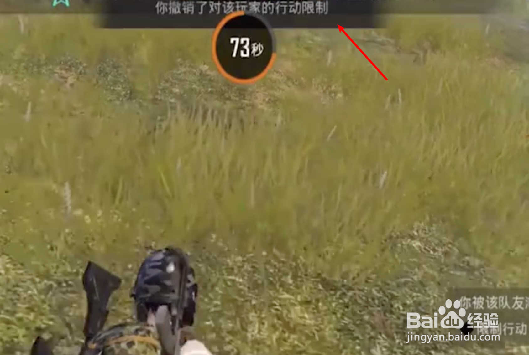 和平精英怎么限制队友行动