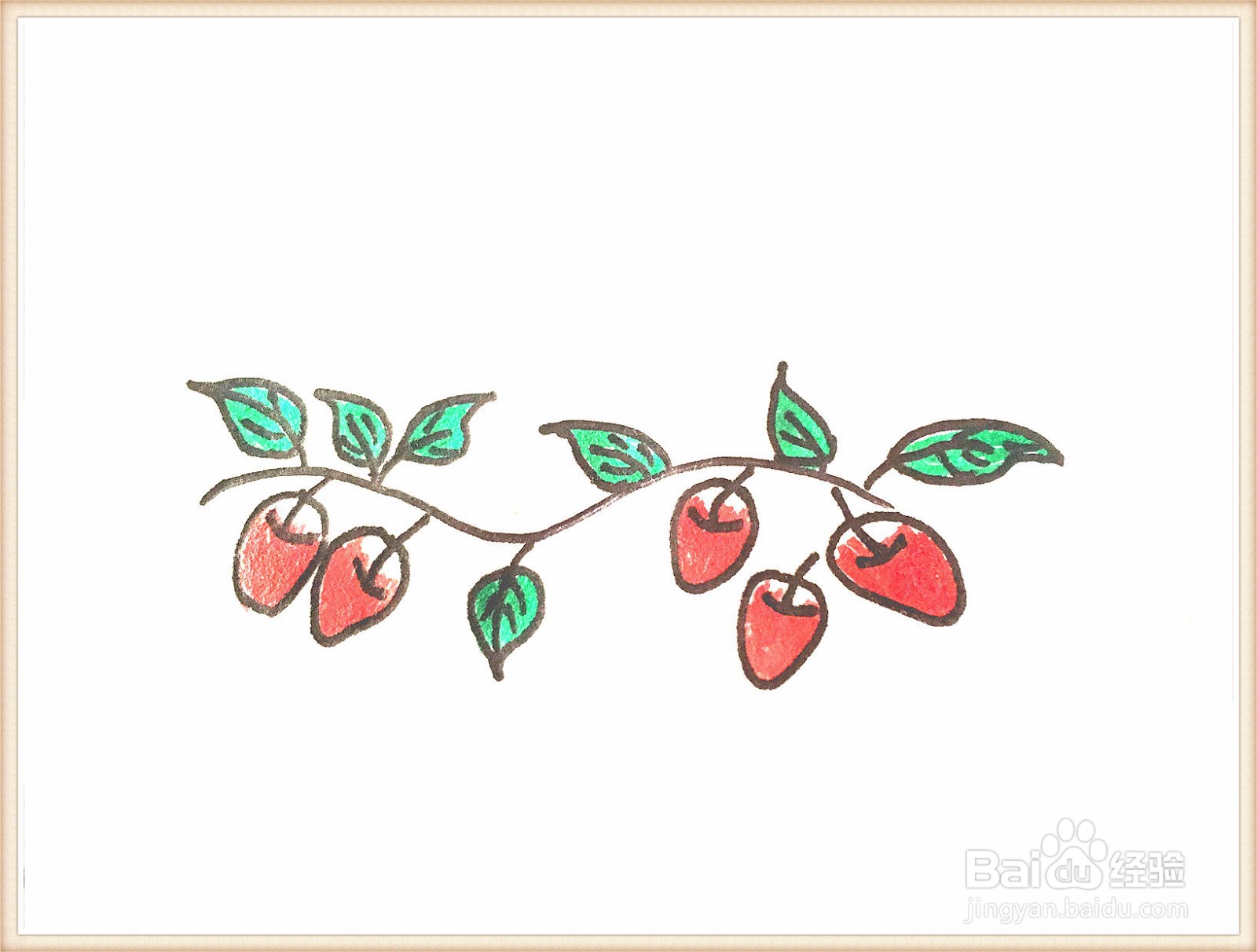 红枣的画法图片