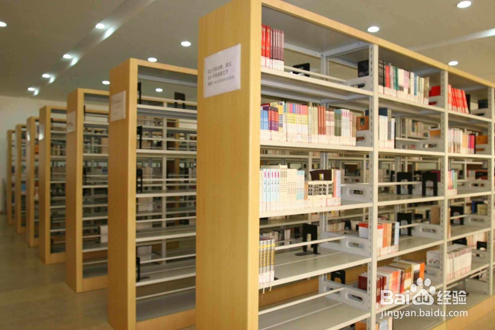 大学里有哪些娱乐活动