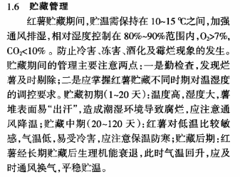 怎样使用青鲜素保鲜红薯