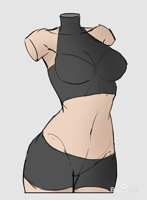 绘画教程:女性肚子绘制教程