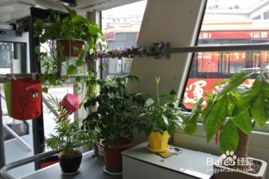 如何有效的防范雾霾？