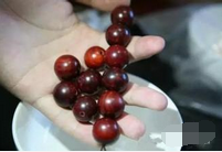 小叶紫檀的鉴别方法(真假小叶紫檀的鉴别)