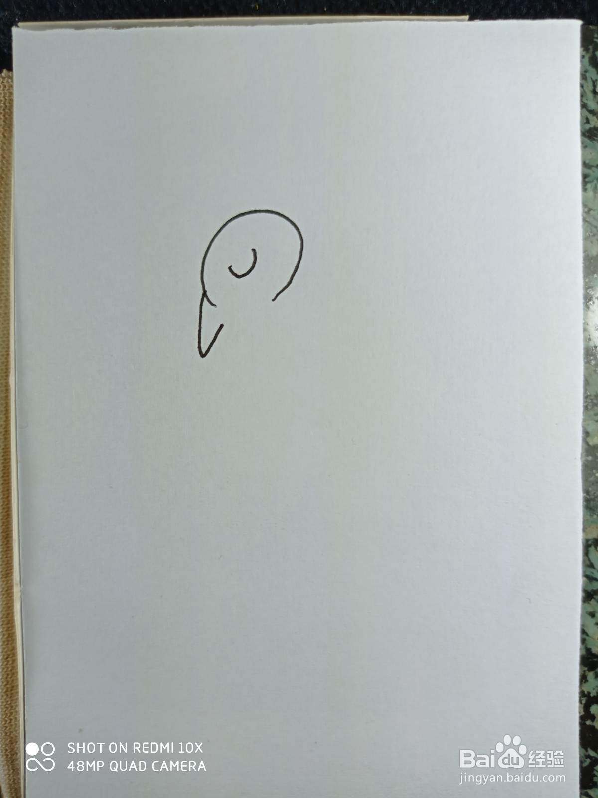 怎样画简笔画鸵鸟