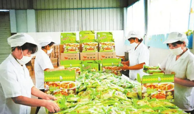 农村加工厂项目有哪些