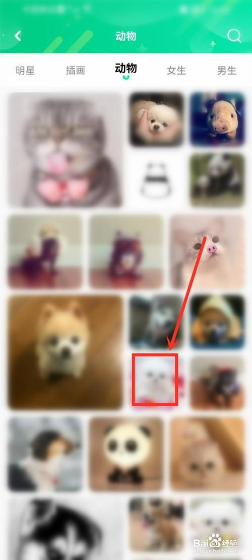 哈屏壁纸app如何下载头像图片