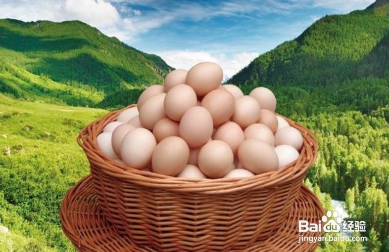 女士健美双腿应该吃什么