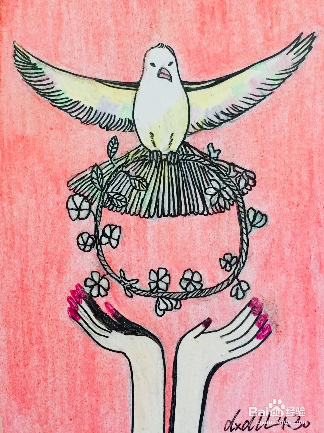 插画教程之和平鸽