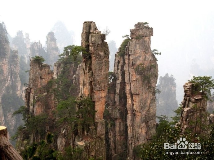 十一张家界旅游线路