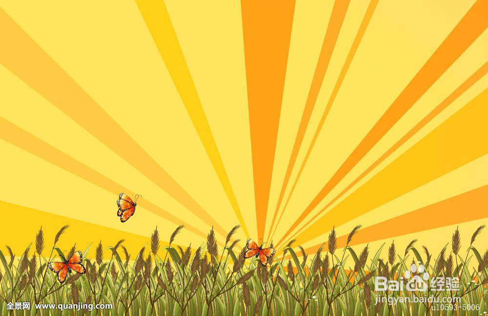 为什么路灯周围会聚集许多飞虫