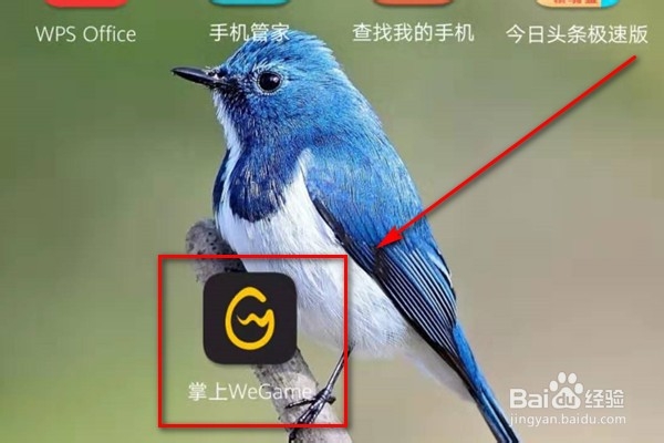 掌上WeGame(TGP)手机版怎么下载