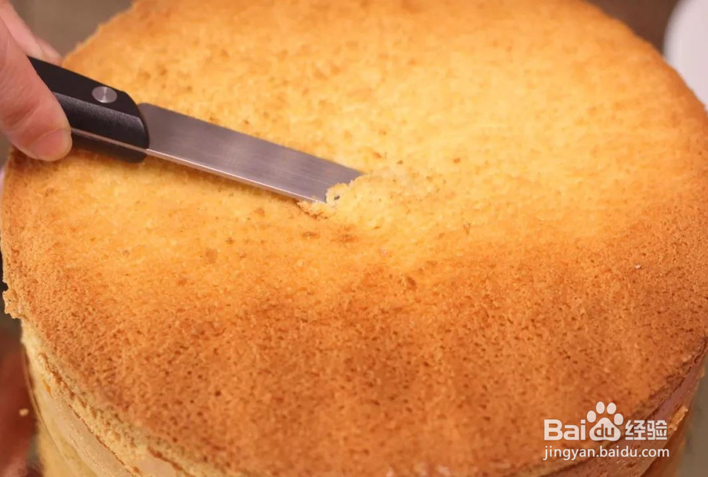 海盐芝士奶盖蛋糕