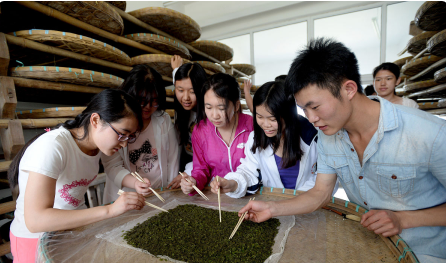 大学生常见的自我意识偏差有哪些