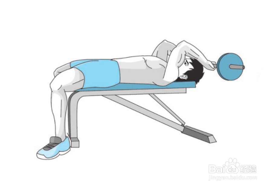 【杠铃训练胸肌 练胸肌】之杠铃仰卧曲臂上提