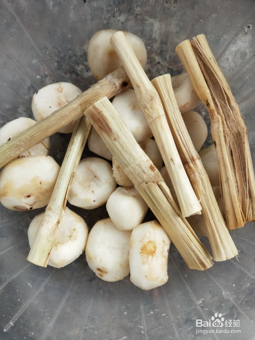 怎么做广东冬日美食~清汤羊?