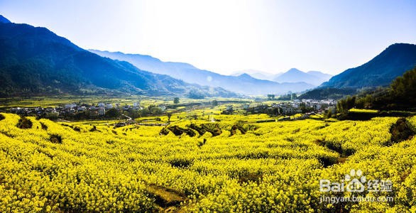 从南昌到婺源旅游攻略