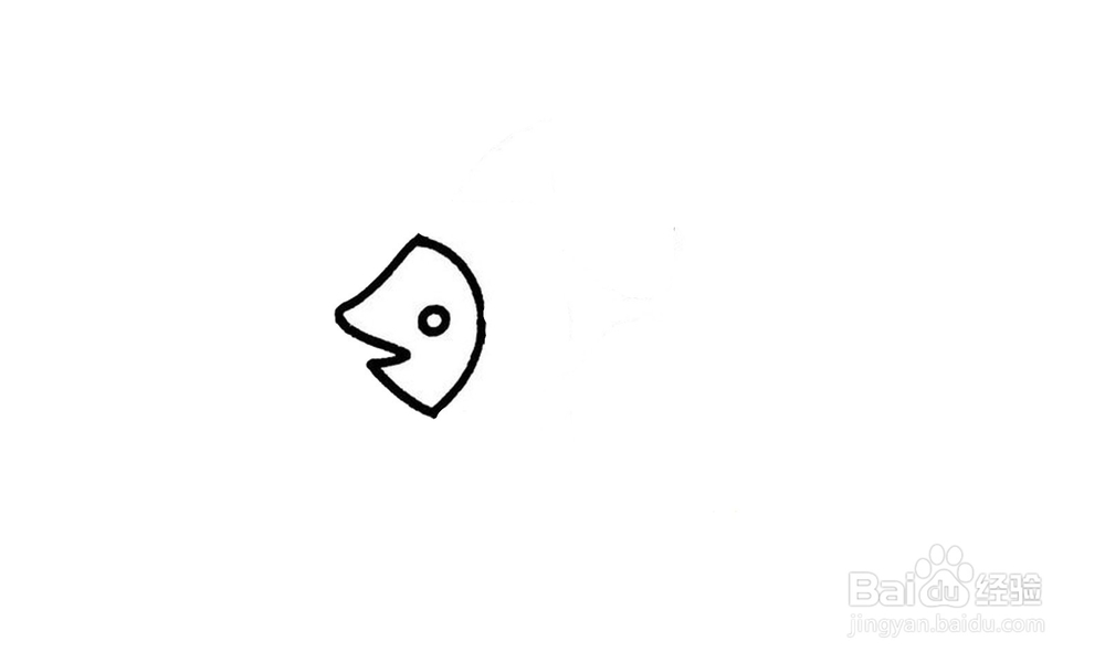 如何画出一条热带鱼