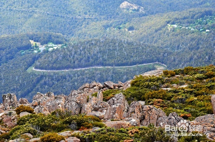 澳洲游记：[11]登临南天第一峰