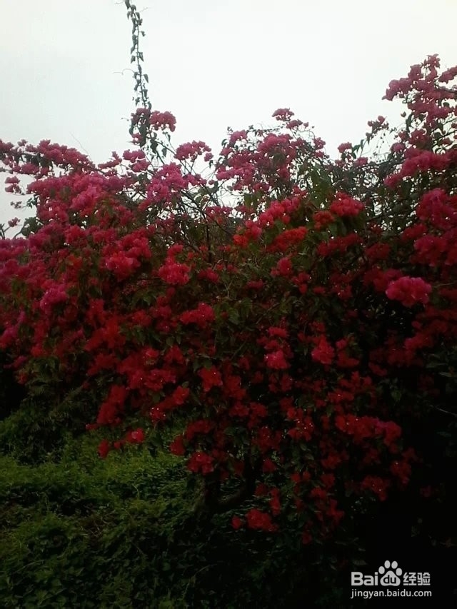 怎么忘掉一个喜欢的人