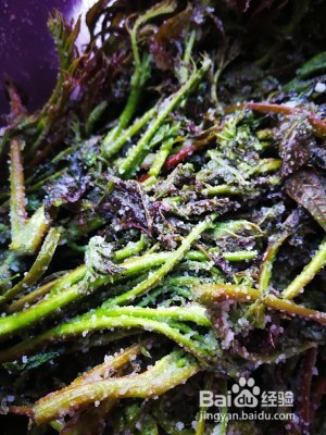 健康养生佳品腌香椿芽（简单易学）的做法