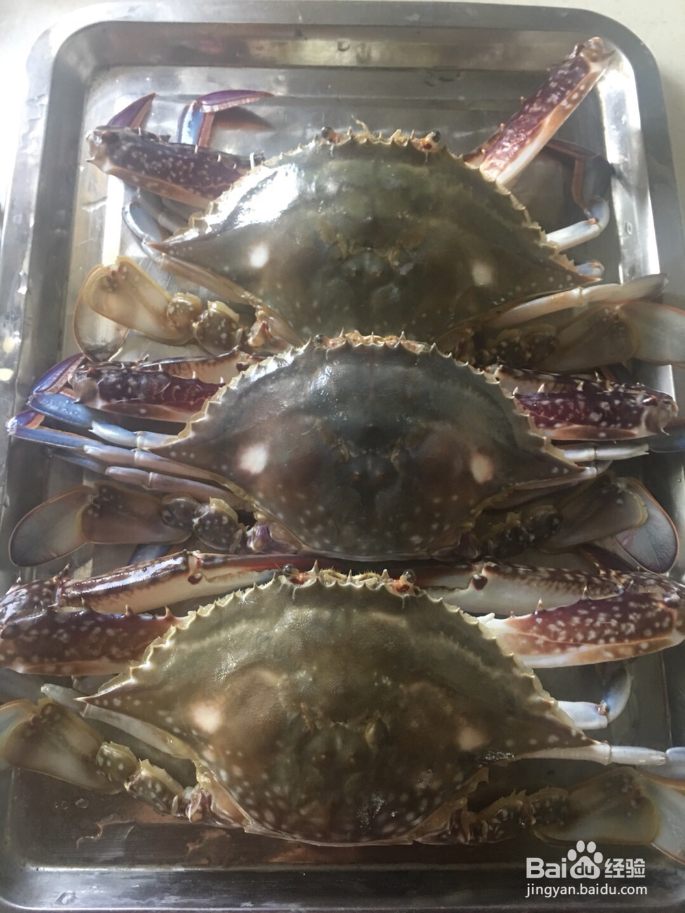 家常美味红烧梭子蟹