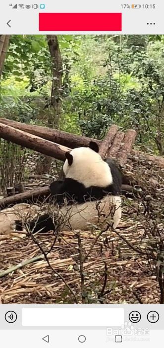 微信聊天背景如何设置?