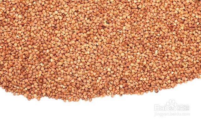 怎样正确挑选鸽子保健砂