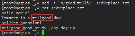 Linux sed命令的使用技巧
