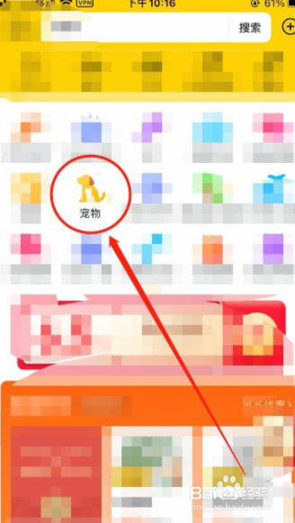 小狗吃了老鼠药一直抽搐怎么办?