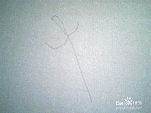 简笔画枫叶的画法