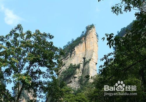 寒假去张家界自助游贴士